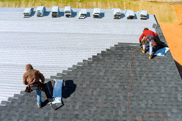 Professional  Roofing repair and installation in Greeley, CO